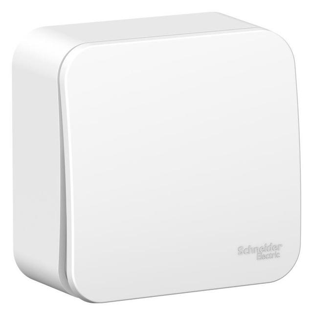 Выключатель 1-кл. ОП Blanca 10А IP20 (сх. 1) 250В с изолир. пластиной бел. SE BLNVA101011