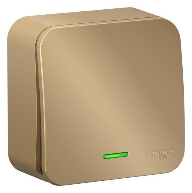 Выключатель 1-кл. ОП Blanca 10А IP20 (сх. 1) 250В с подсветкой с изолир. пластиной титан SE BLNVA101114